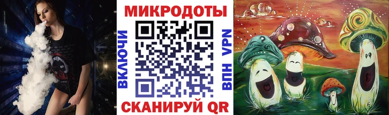 Псилоцибиновые грибы Psilocybe  Лагань 